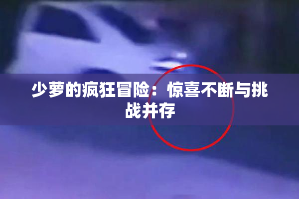 少萝的疯狂冒险：惊喜不断与挑战并存
