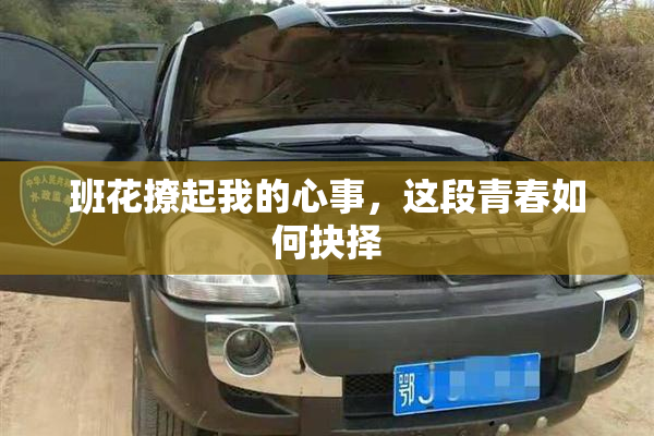 班花撩起我的心事，这段青春如何抉择