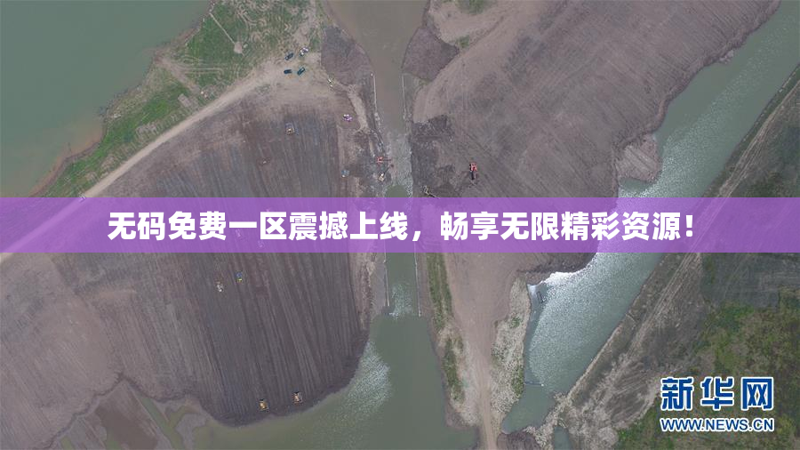 无码免费一区震撼上线，畅享无限精彩资源！