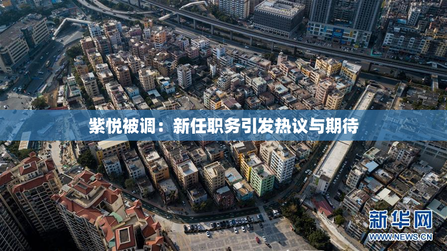 紫悦被调：新任职务引发热议与期待