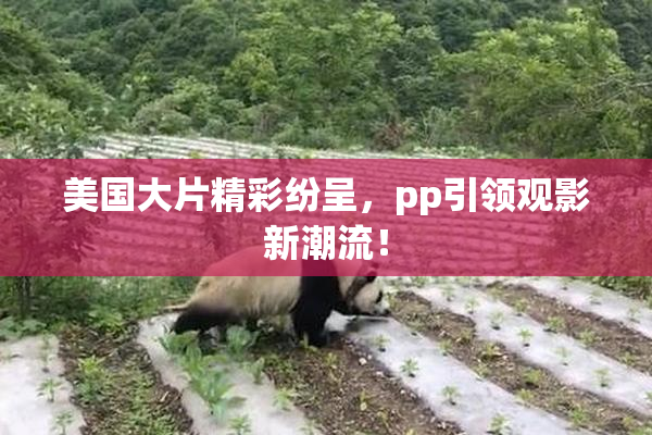 美国大片精彩纷呈，pp引领观影新潮流！