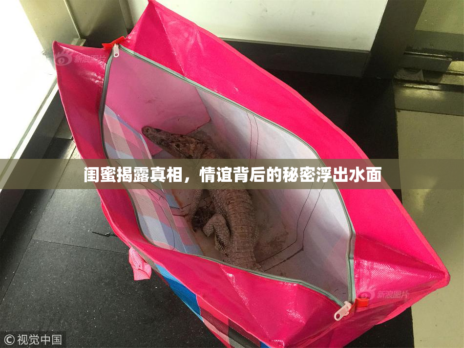 闺蜜揭露真相，情谊背后的秘密浮出水面