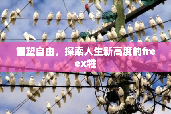 重塑自由，探索人生新高度的freex牲