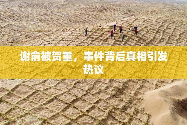 谢俞被贺重，事件背后真相引发热议