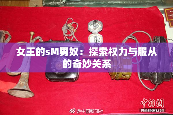 女王的sM男奴：探索权力与服从的奇妙关系