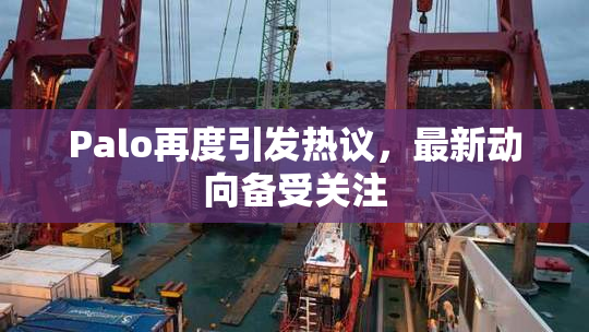 Palo再度引发热议，最新动向备受关注