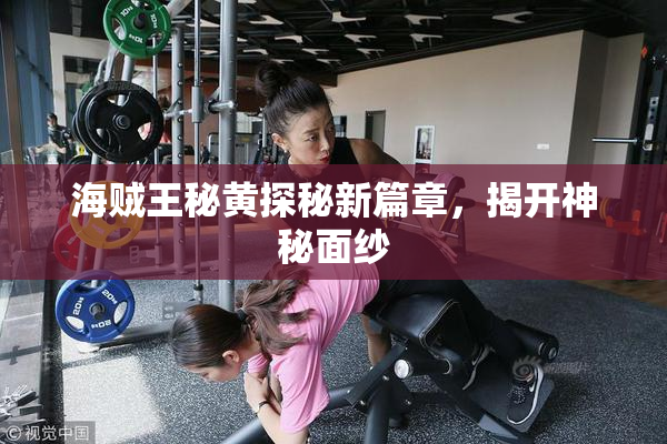 海贼王秘黄探秘新篇章，揭开神秘面纱
