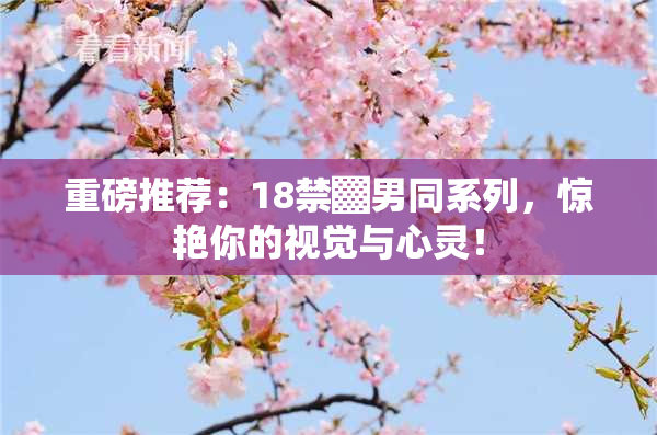 重磅推荐：18禁▓男同系列，惊艳你的视觉与心灵！