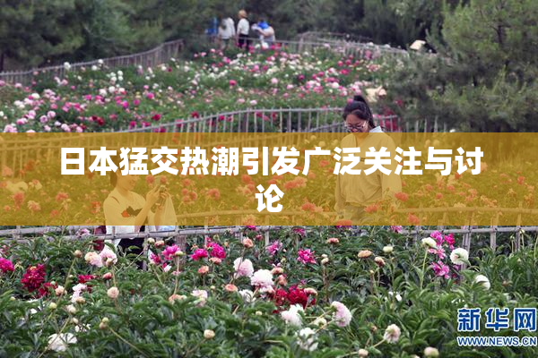 日本猛交热潮引发广泛关注与讨论