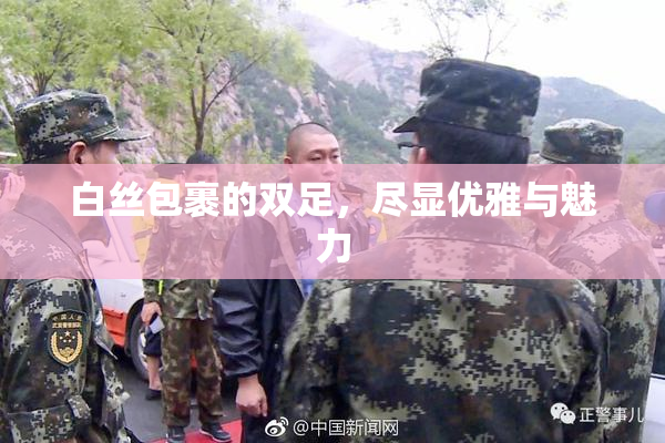 白丝包裹的双足，尽显优雅与魅力