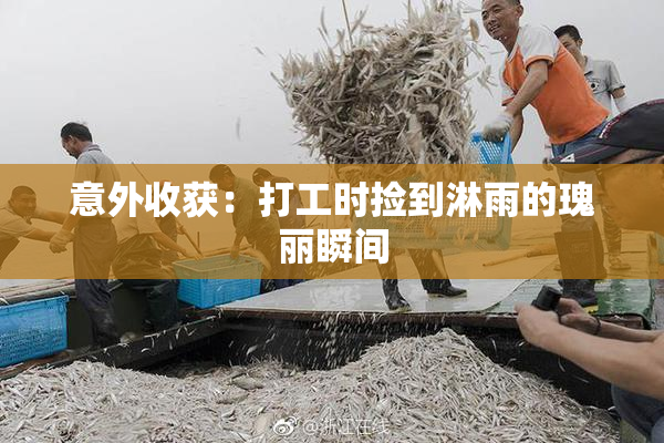 意外收获：打工时捡到淋雨的瑰丽瞬间