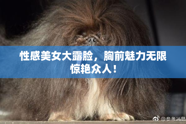 性感美女大露脸，胸前魅力无限惊艳众人！