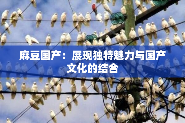 麻豆国产：展现独特魅力与国产文化的结合