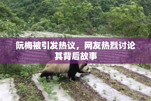 阮梅被引发热议，网友热烈讨论其背后故事