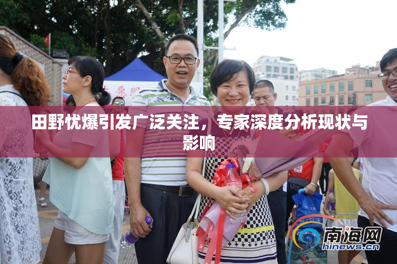田野忧爆引发广泛关注，专家深度分析现状与影响