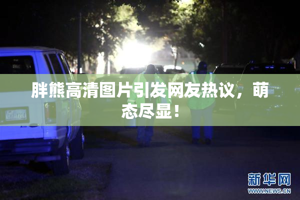 胖熊高清图片引发网友热议，萌态尽显！