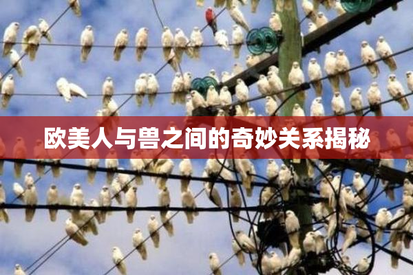 欧美人与兽之间的奇妙关系揭秘