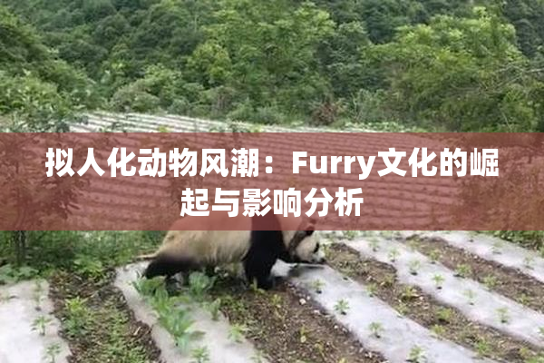 拟人化动物风潮：Furry文化的崛起与影响分析