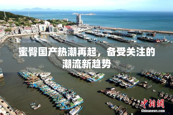 蜜臀国产热潮再起，备受关注的潮流新趋势