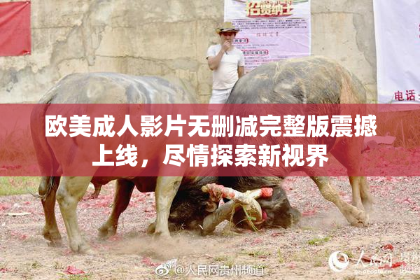欧美成人影片无删减完整版震撼上线，尽情探索新视界