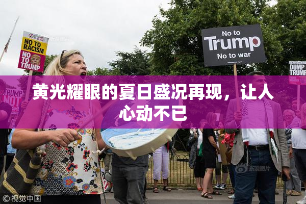 黄光耀眼的夏日盛况再现，让人心动不已