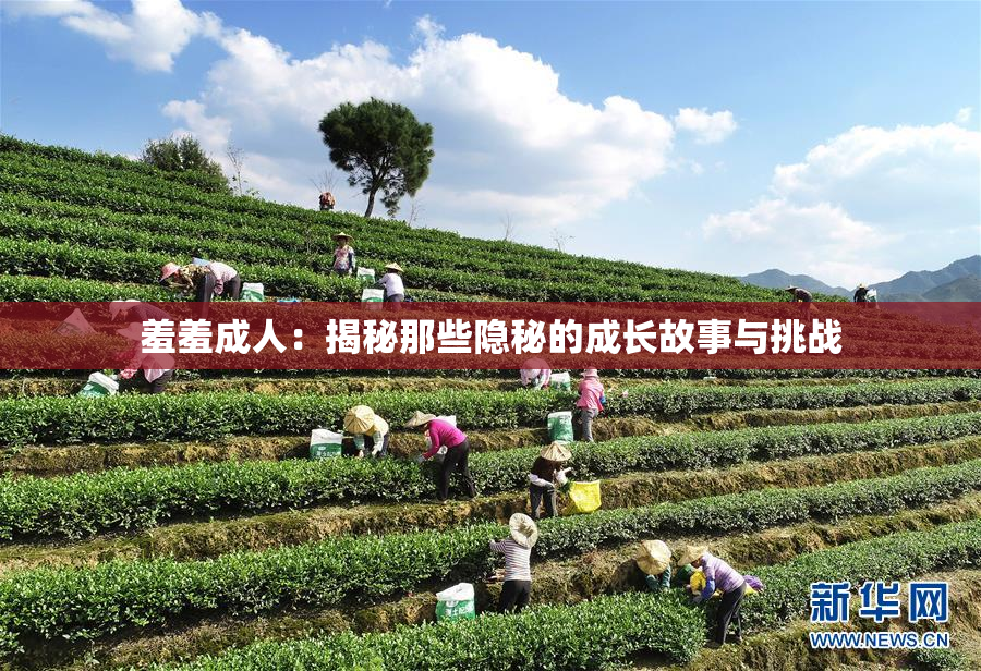 羞羞成人：揭秘那些隐秘的成长故事与挑战