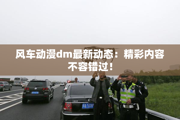 风车动漫dm最新动态：精彩内容不容错过！