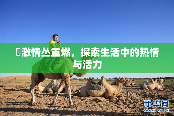 巜激情丛重燃，探索生活中的热情与活力