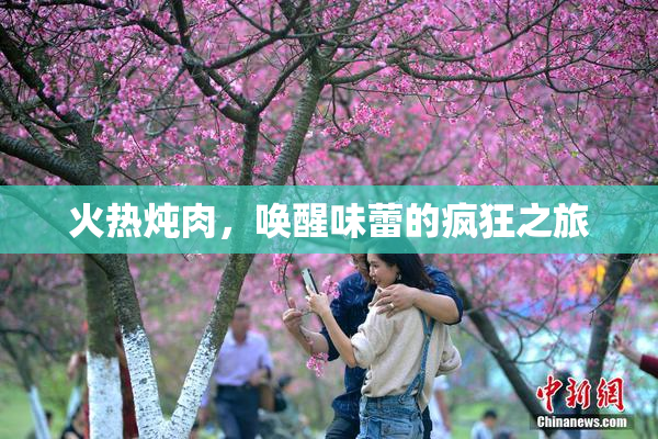 火热炖肉，唤醒味蕾的疯狂之旅