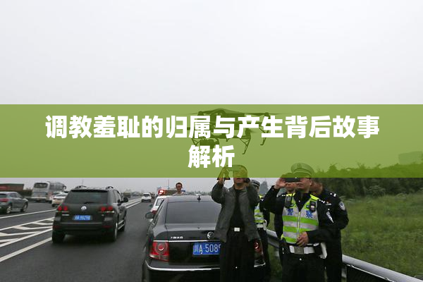 调教羞耻的归属与产生背后故事解析