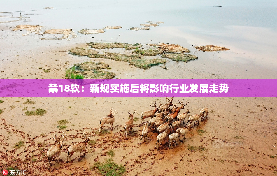 禁18软：新规实施后将影响行业发展走势