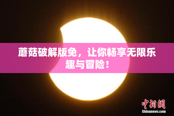 蘑菇破解版免，让你畅享无限乐趣与冒险！