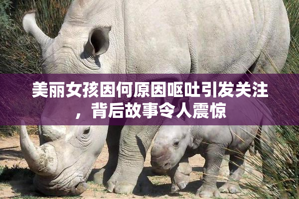 美丽女孩因何原因呕吐引发关注，背后故事令人震惊