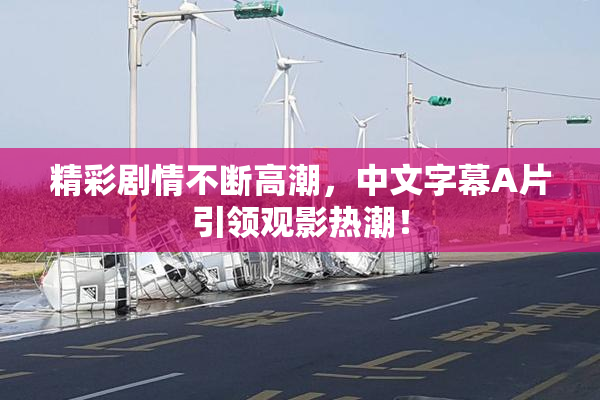 精彩剧情不断高潮，中文字幕A片引领观影热潮！