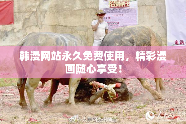 韩漫网站永久免费使用，精彩漫画随心享受！