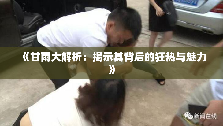 《甘雨大解析：揭示其背后的狂热与魅力》