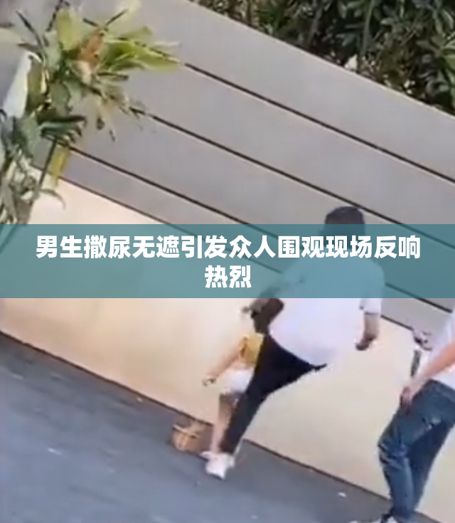 男生撒尿无遮引发众人围观现场反响热烈