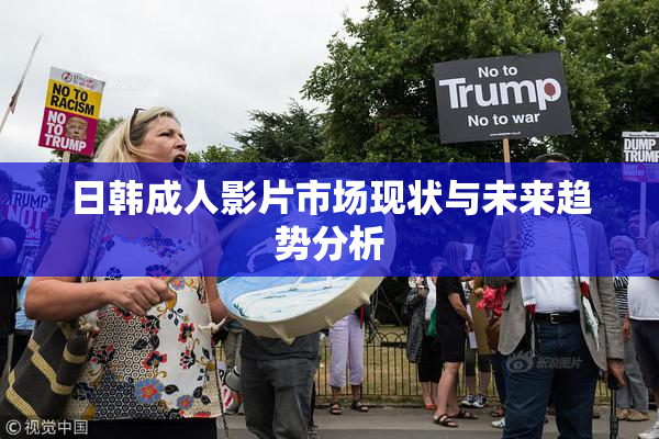 日韩成人影片市场现状与未来趋势分析