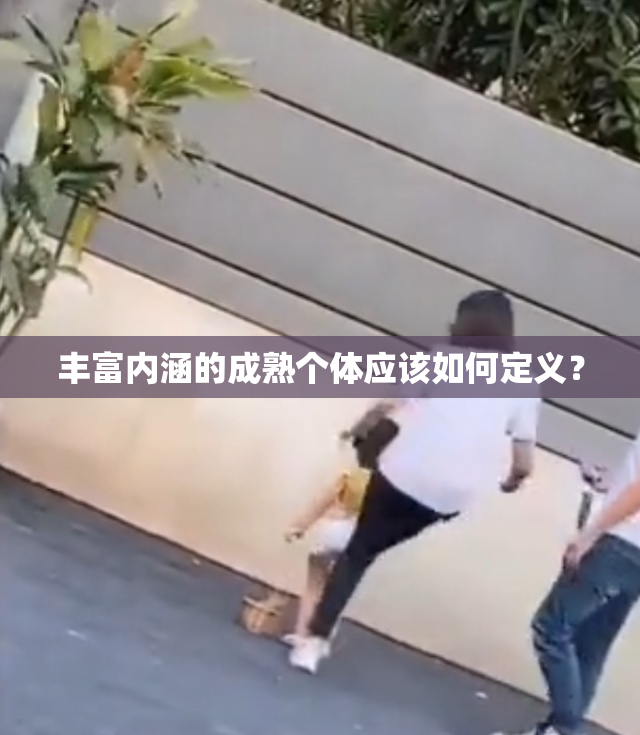 丰富内涵的成熟个体应该如何定义？