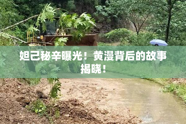 妲己秘辛曝光！黄漫背后的故事揭晓！