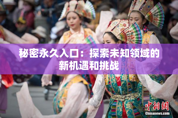 秘密永久入口：探索未知领域的新机遇和挑战