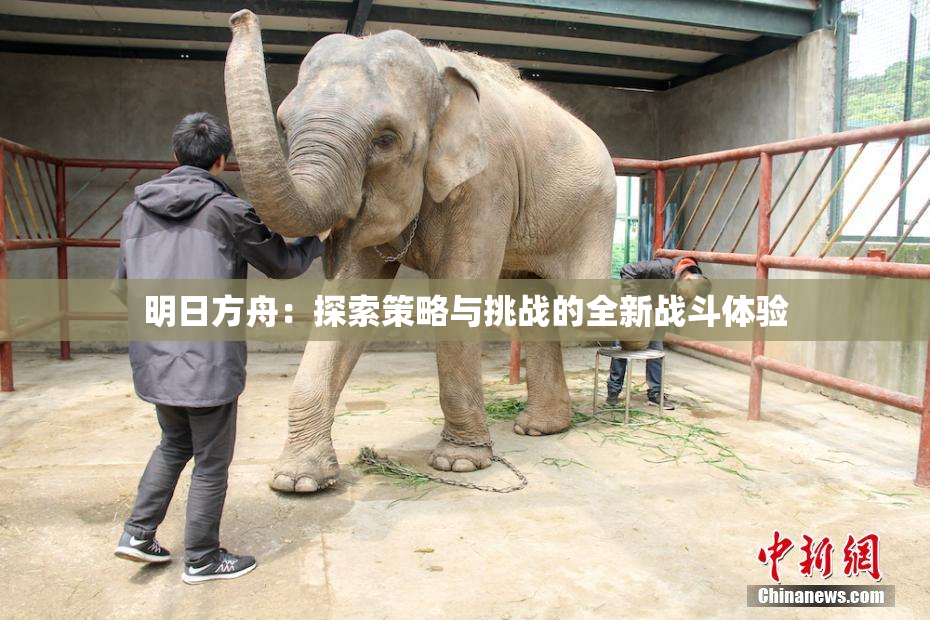 明日方舟：探索策略与挑战的全新战斗体验
