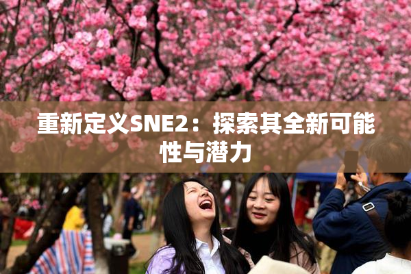 重新定义SNE2：探索其全新可能性与潜力
