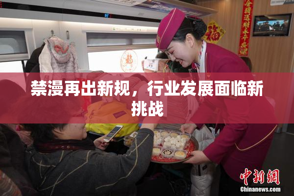 禁漫再出新规，行业发展面临新挑战
