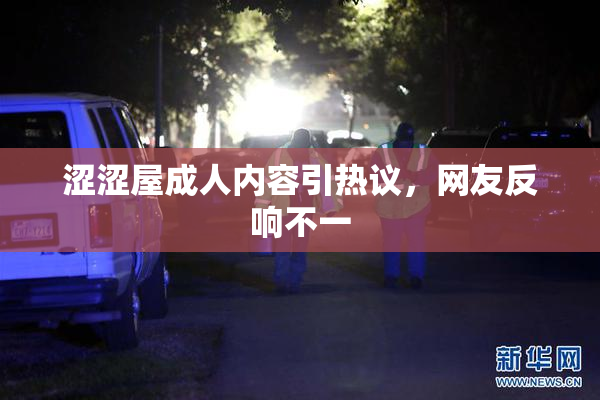 涩涩屋成人内容引热议，网友反响不一