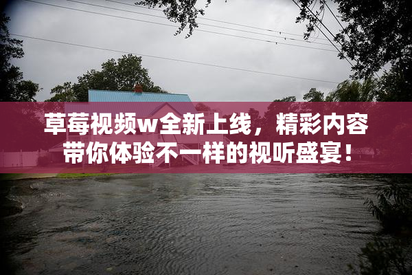 草莓视频w全新上线，精彩内容带你体验不一样的视听盛宴！