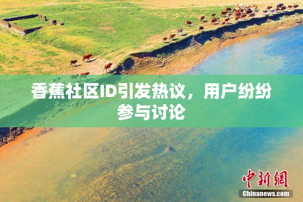 香蕉社区ID引发热议，用户纷纷参与讨论
