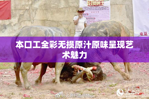 本口工全彩无损原汁原味呈现艺术魅力