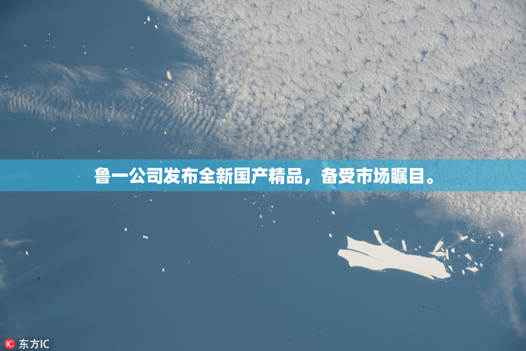 鲁一公司发布全新国产精品，备受市场瞩目。