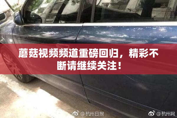 蘑菇视频频道重磅回归，精彩不断请继续关注！
